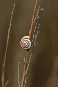 抱っこ紐に最適なよだれカバーをガーゼで手作りする方法は？