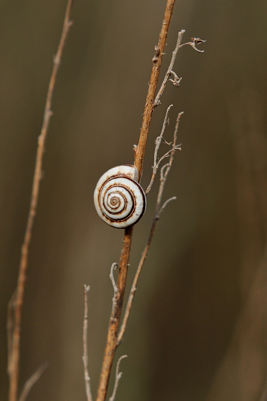抱っこ紐に最適なよだれカバーをガーゼで手作りする方法は？
