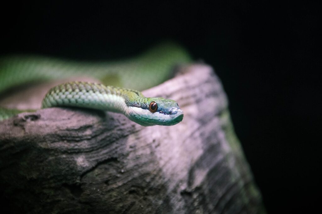 頭のサイズの測り方をメジャーなしで行う方法は？