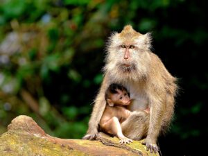 ワンオペ育児を成功させるための時短コツは？