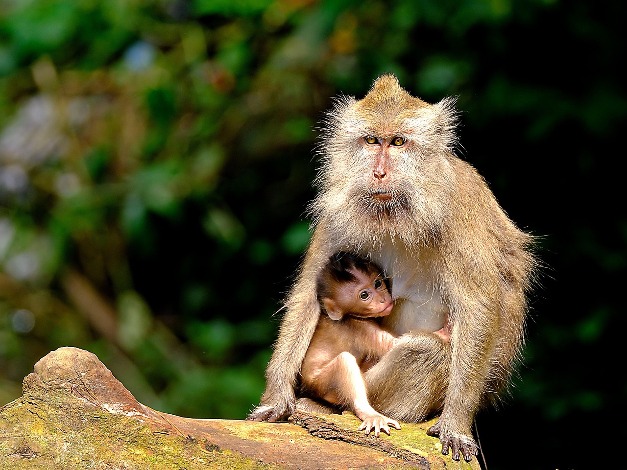 ワンオペ育児を成功させるための時短コツは？
