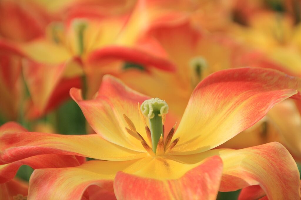 保育園の送迎が楽になるママ向けグッズは？