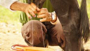 搾乳機の電動タイプを使いこなすための使い方とコツは？