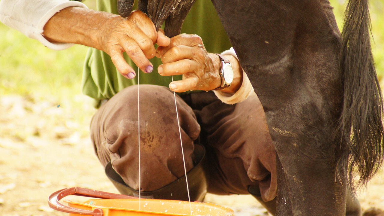 搾乳機の電動タイプを使いこなすための使い方とコツは？