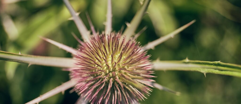 ひな人形を触られるのを防止するためのベビーガードは？