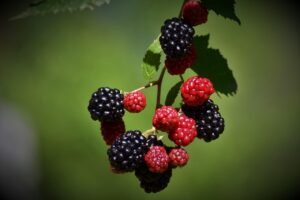 離乳食を温め直しするのは何回まで大丈夫か？