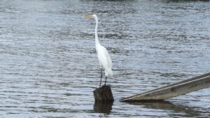 離乳食用はさみを使った外食はどこまで便利？